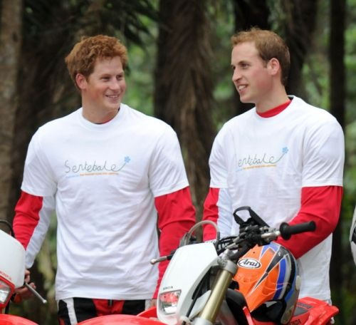 young prince william and prince harry. young prince william and